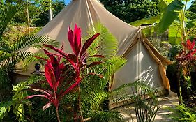 Shamalay - Nomad Experience